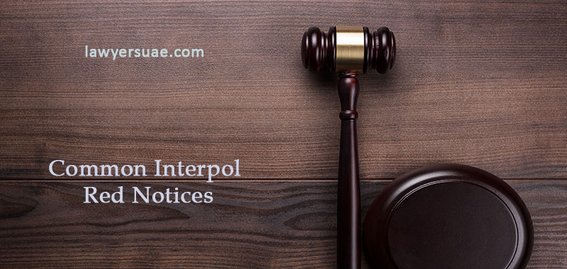 6 bendri INTERPOLo raudoni pranešimai ir ką galite padaryti dėl jų