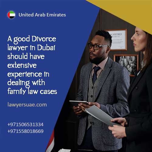 family law cases