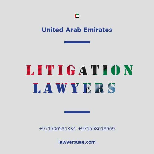 2 litigation lawyers
